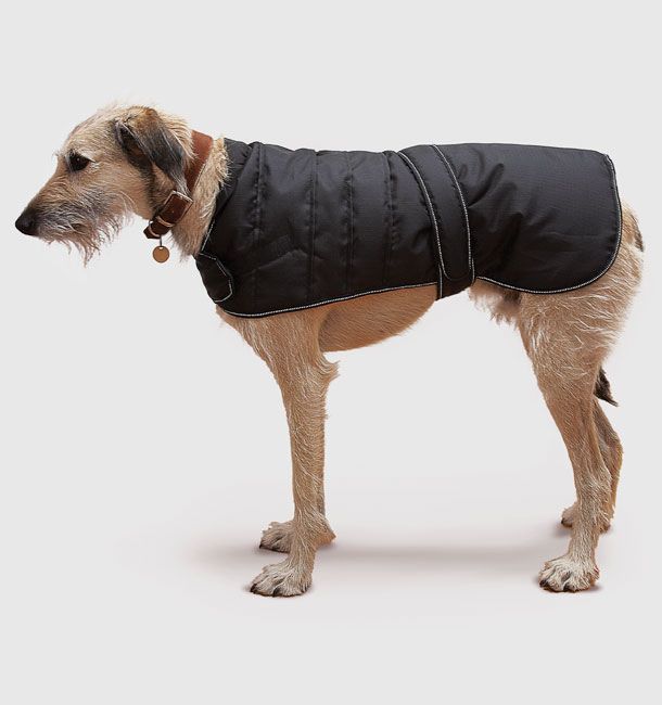 Black Harness Dog Coat 75cm (30