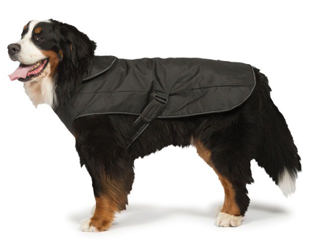 Black Harness Dog Coat 45cm (18