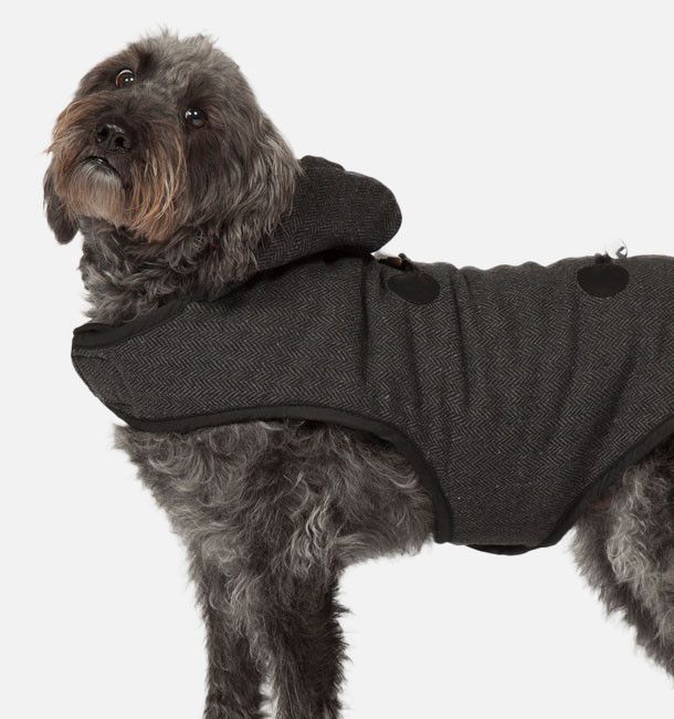 Duffle Dog Coat