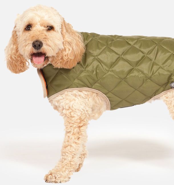 Forest Green Quilted Dog Coat 25cm (10