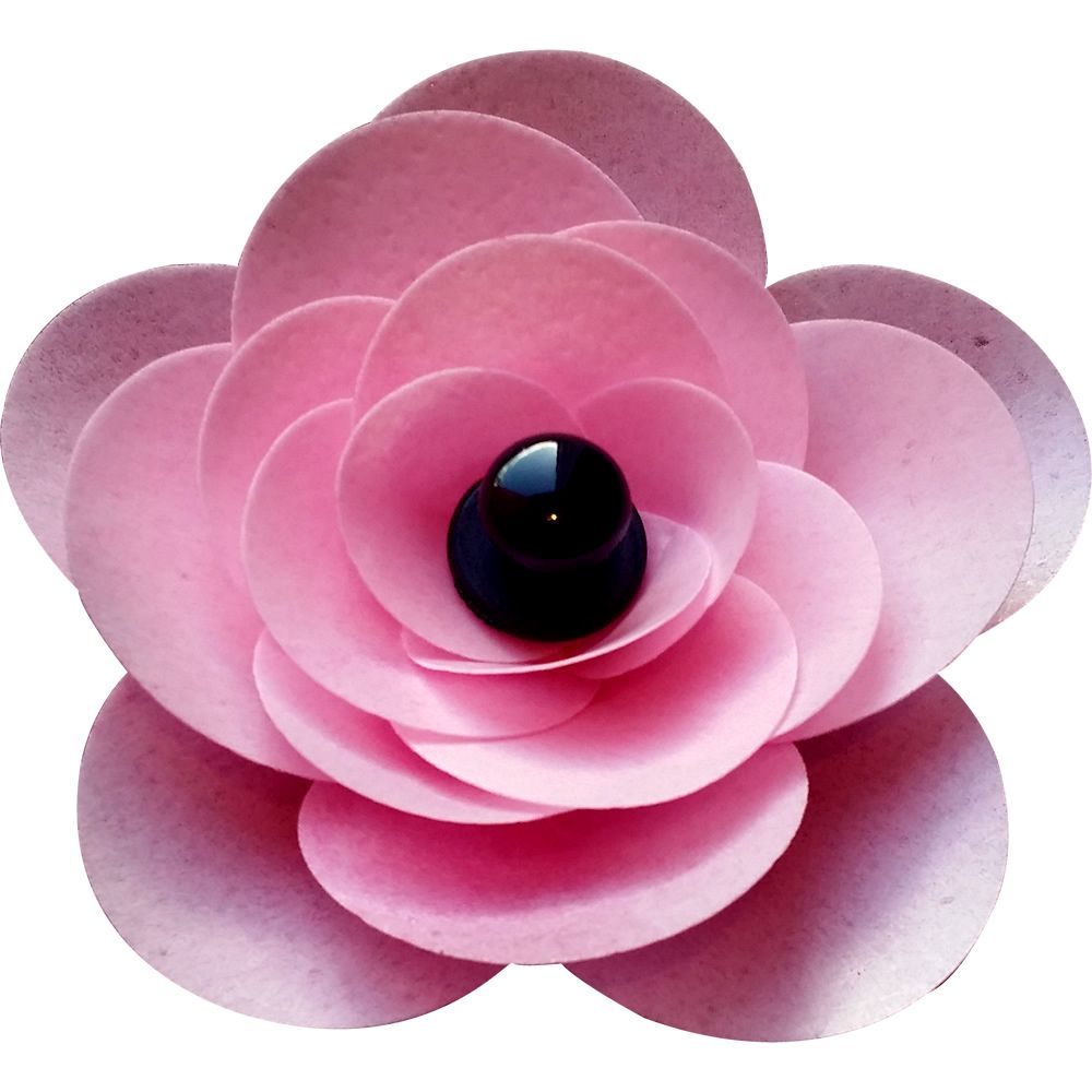 Ranunculus Flower Kit - Pink
