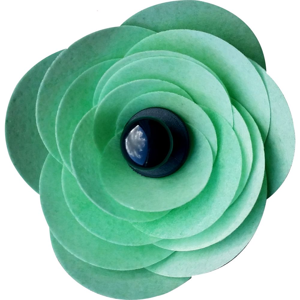 Ranunculus Flower Kit - Green