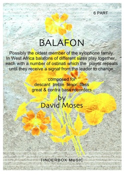 Balafon 6 part