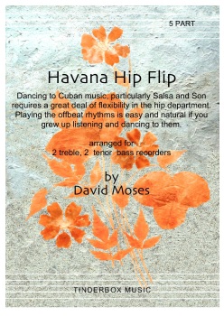 Havana Hip Flip   5 part