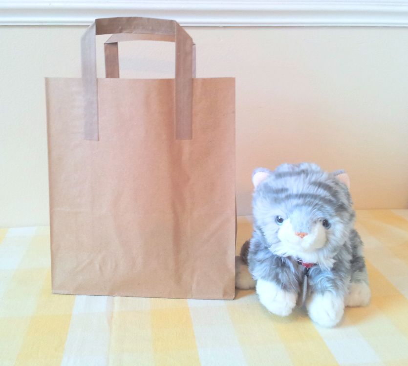 Cat mystery Bag - 6 Items