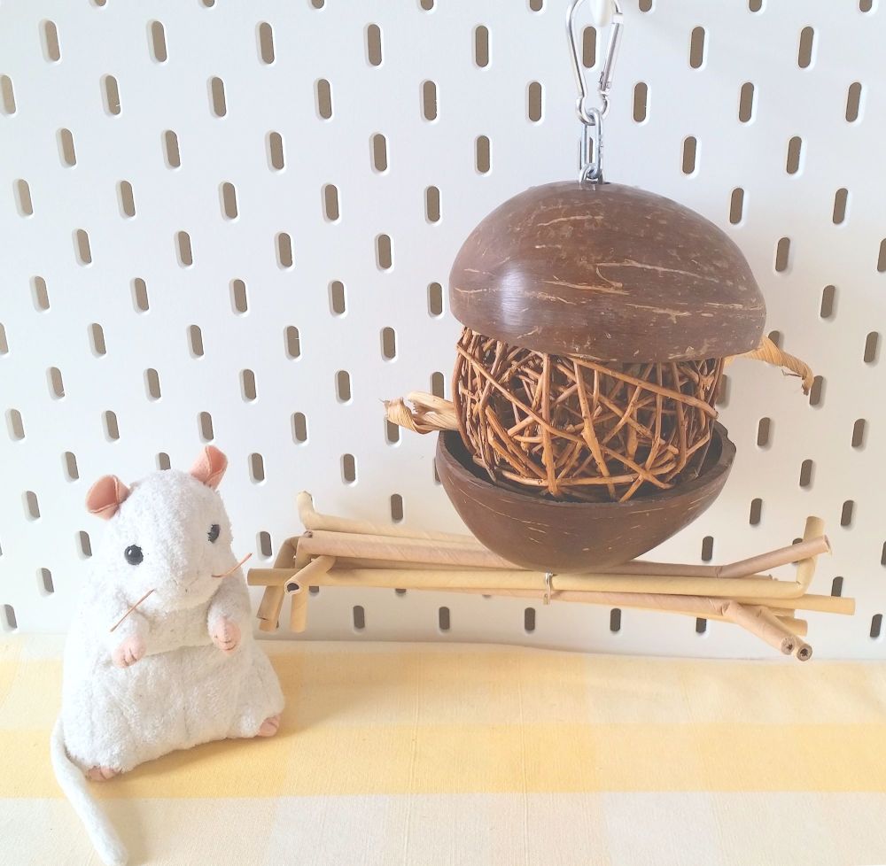 Double Coconut Shell Foraging ball