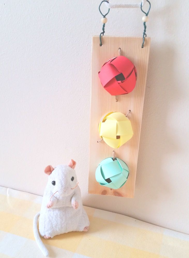 Nibble and Gnaw Refillable 3 Hole Forage Board with Pineapple and Coconut Treat Rings