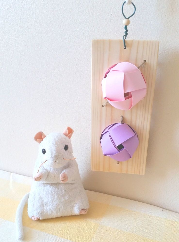 Nibble and Gnaw Refillable 2 Hole Forage Board with Pineapple and Coconut Treat Rings