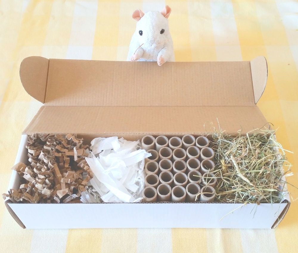 Multi Texture Foraging Box