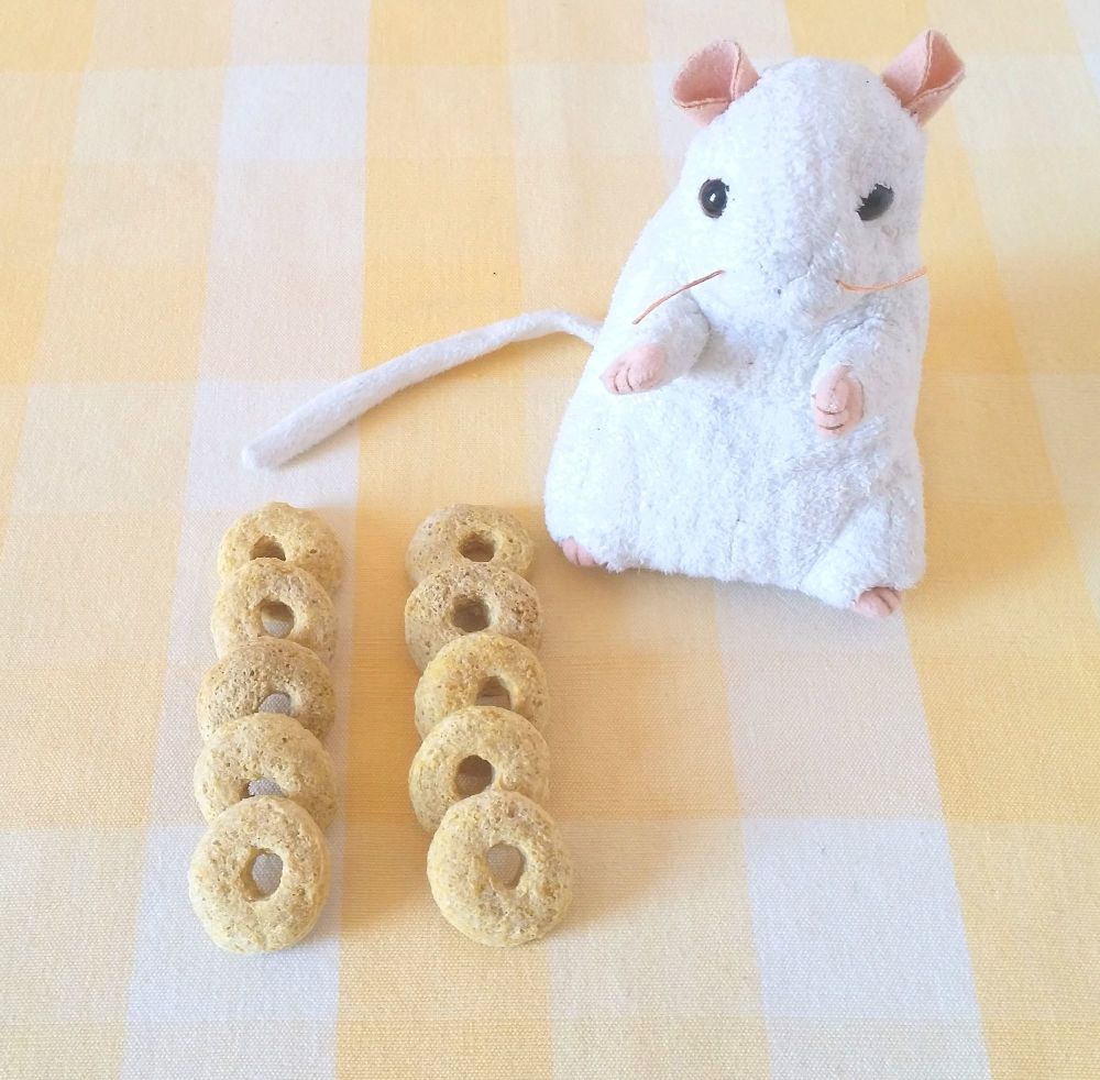 10 Coconut Treat Rings