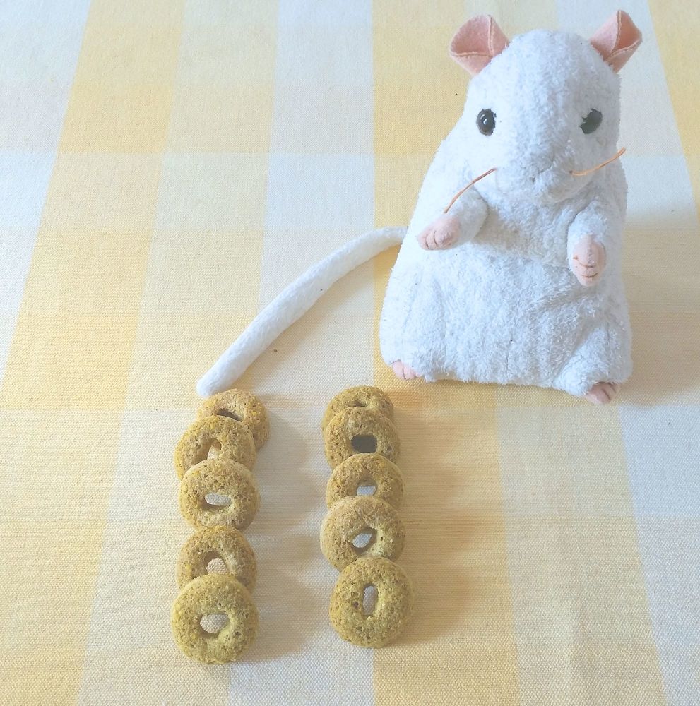 10 Pineapple Treat Rings