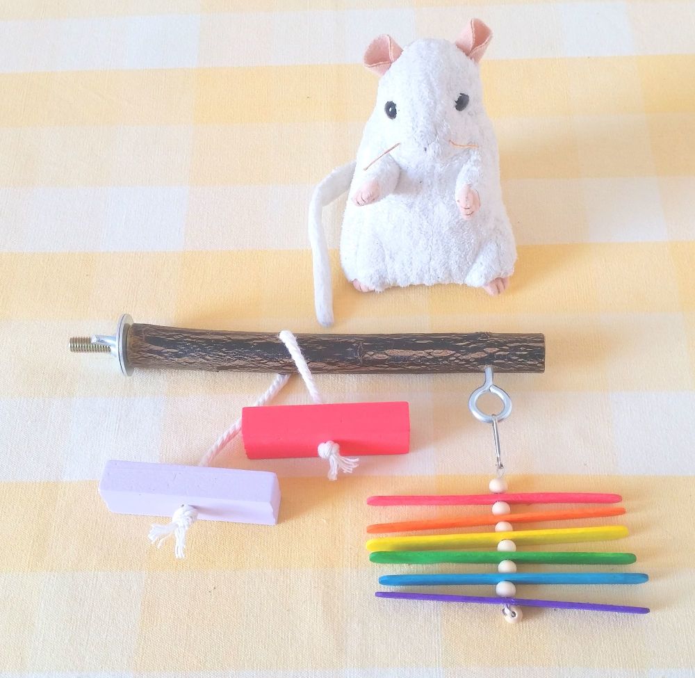 20cm Bolt On Colourful Play Perch - UK Homegrown Willow Wood