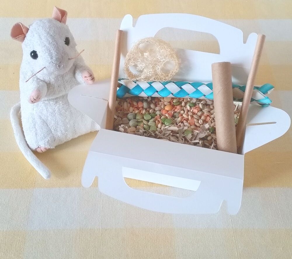 Natural Treat and Chew Party Box 50g