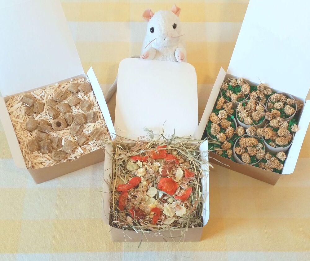 Mixed Rat Forage Box Selection - Pack of 3