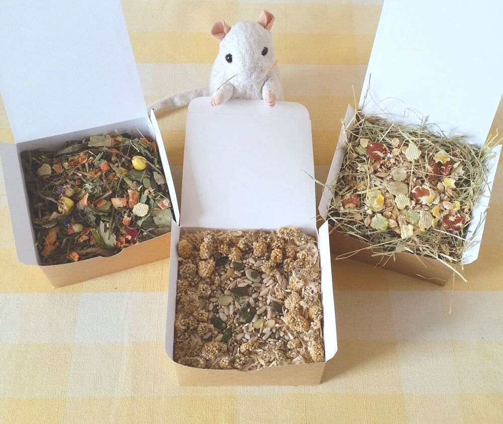 Natural Rat Forage Box Selection - Pack of 3