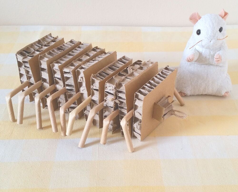 Crawler Cardboard Shredder Toy