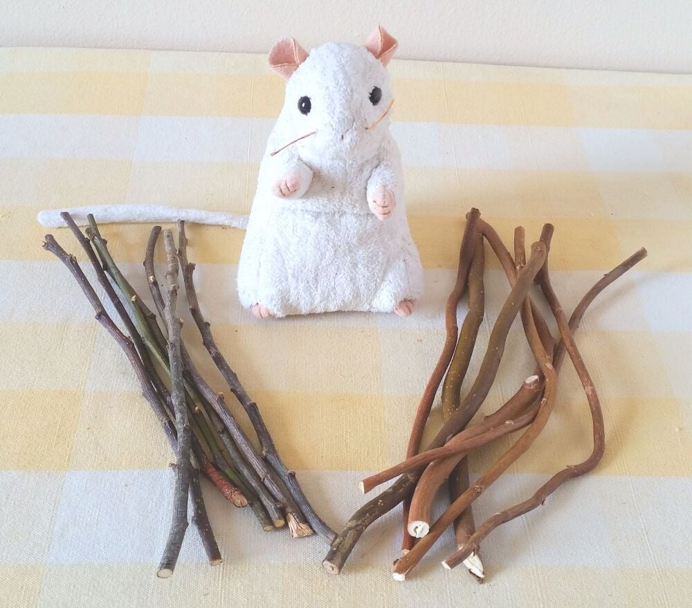 20cm Mixed Willow and Apple Wood Chew Sticks - UK Homegrown