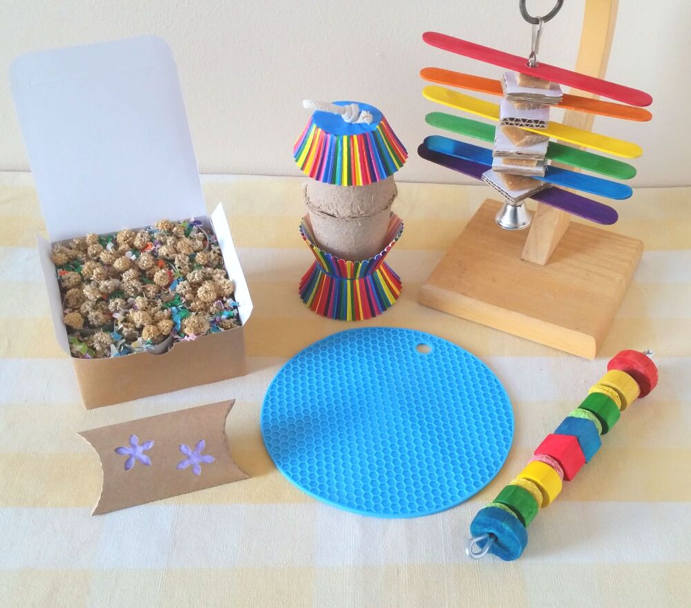 Nibble and Gnaw Rainbow Bundle - 6 Items