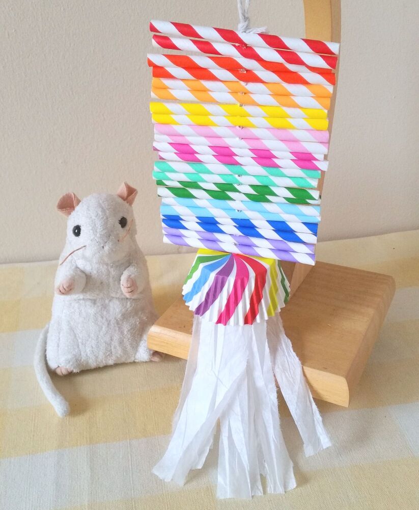 Large Rainbow Shredder Toy