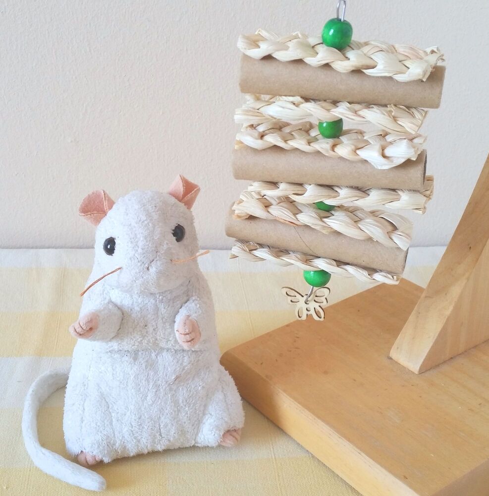 Green Beaded Foraging Shredder Toy