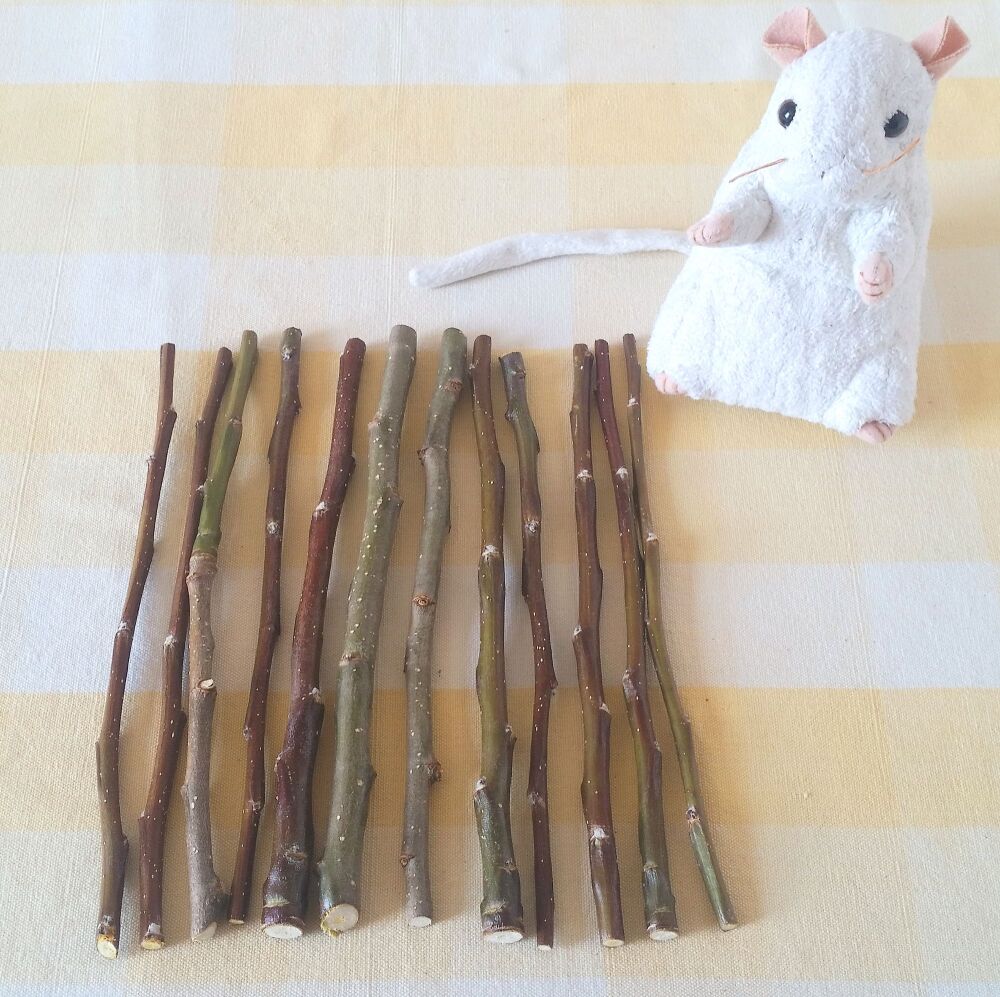 20cm Apple Wood Sticks - UK Homegrown - 12 Mixed Thickness Sticks