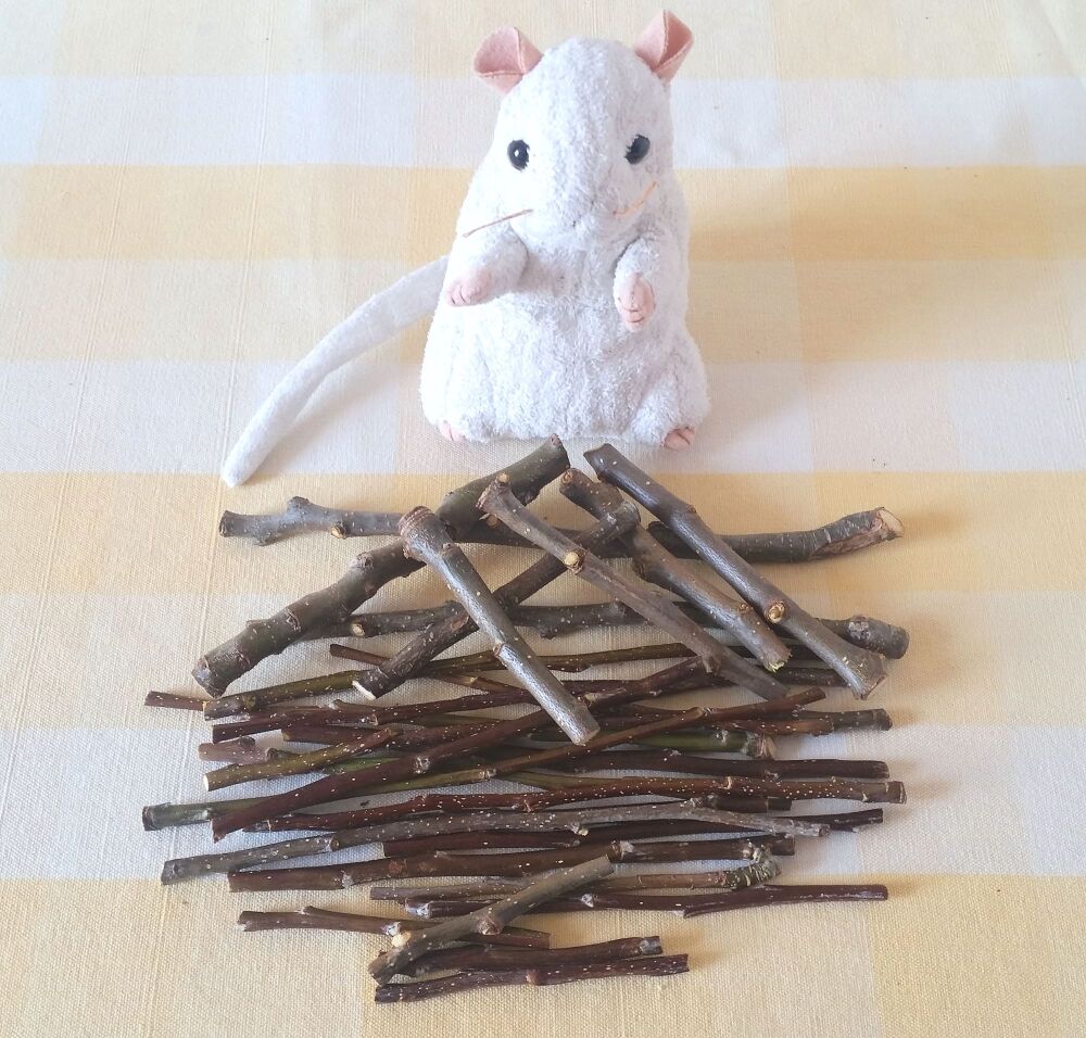 Apple Wood Chew Bites 100g - UK Homegrown