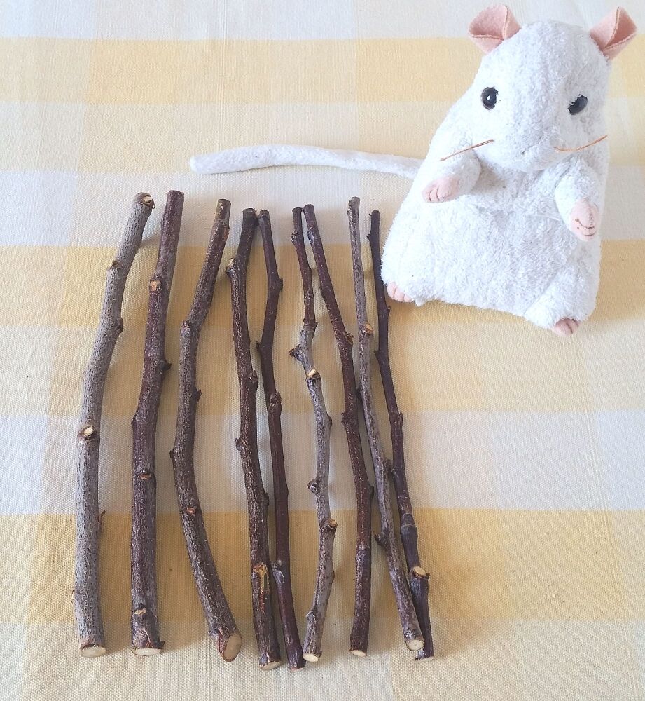 20cm Plum Wood Sticks - UK Homegrown - 9 Mixed Thickness Sticks