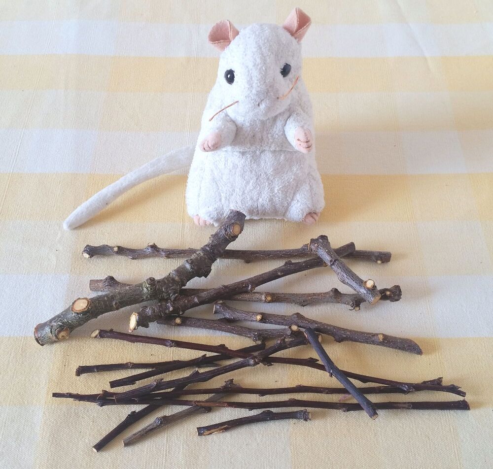 Plum Wood Chew Bites 50g - UK Homegrown