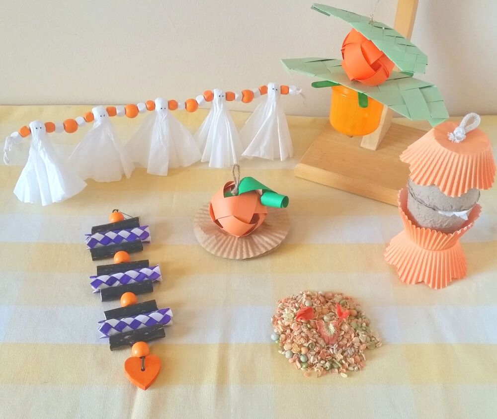 Nibble and Gnaw Pumpkin Bundle - 6 Items