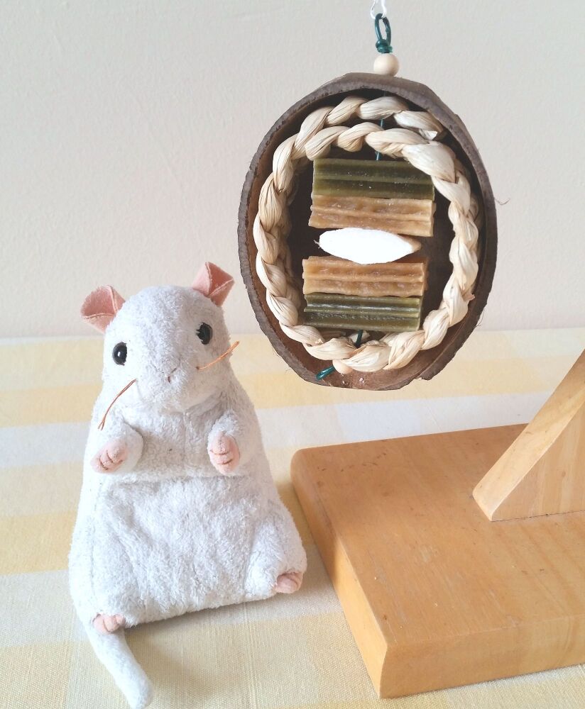 Nibble and Gnaw Refillable Coconut Shell with Cuttle bone and Whimzees treats