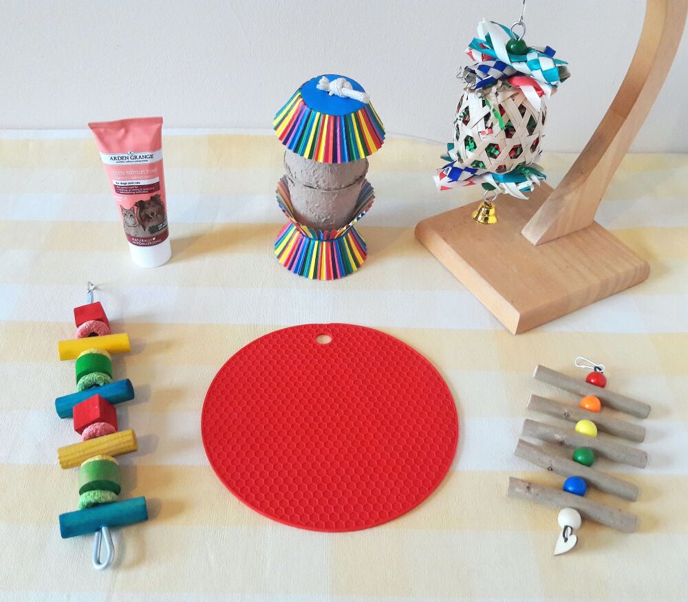 Nibble and Gnaw Rainbow Bundle - 6 Items