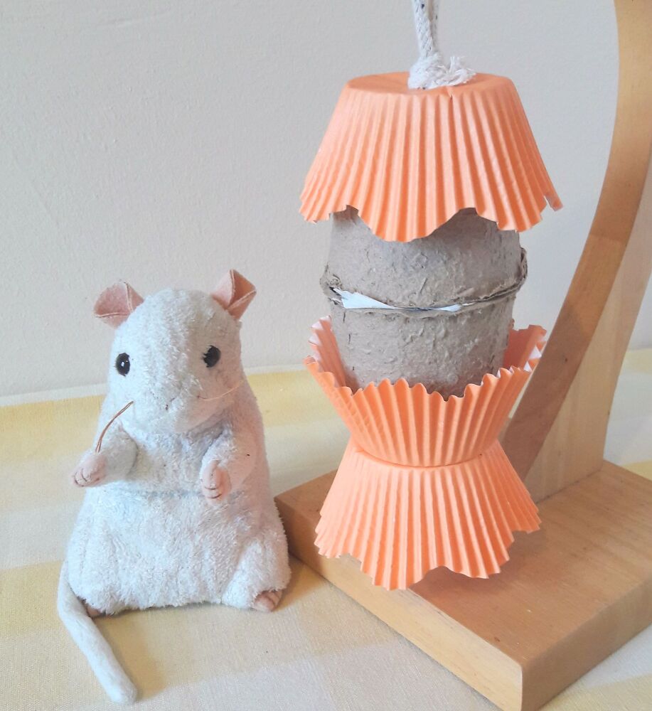 Nibble and Gnaw Stuffed Pot Carrot Treat Shredder