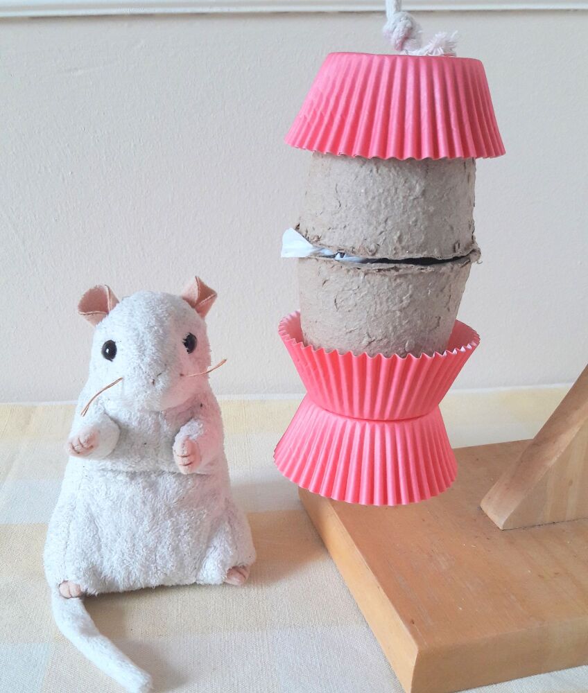 Nibble and Gnaw Stuffed Pot Raspberry Biscuit Treat Shredder