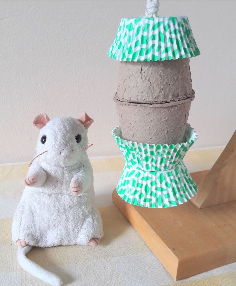 Nibble and Gnaw Stuffed Pot Kiwi Biscuit Treat Shredder