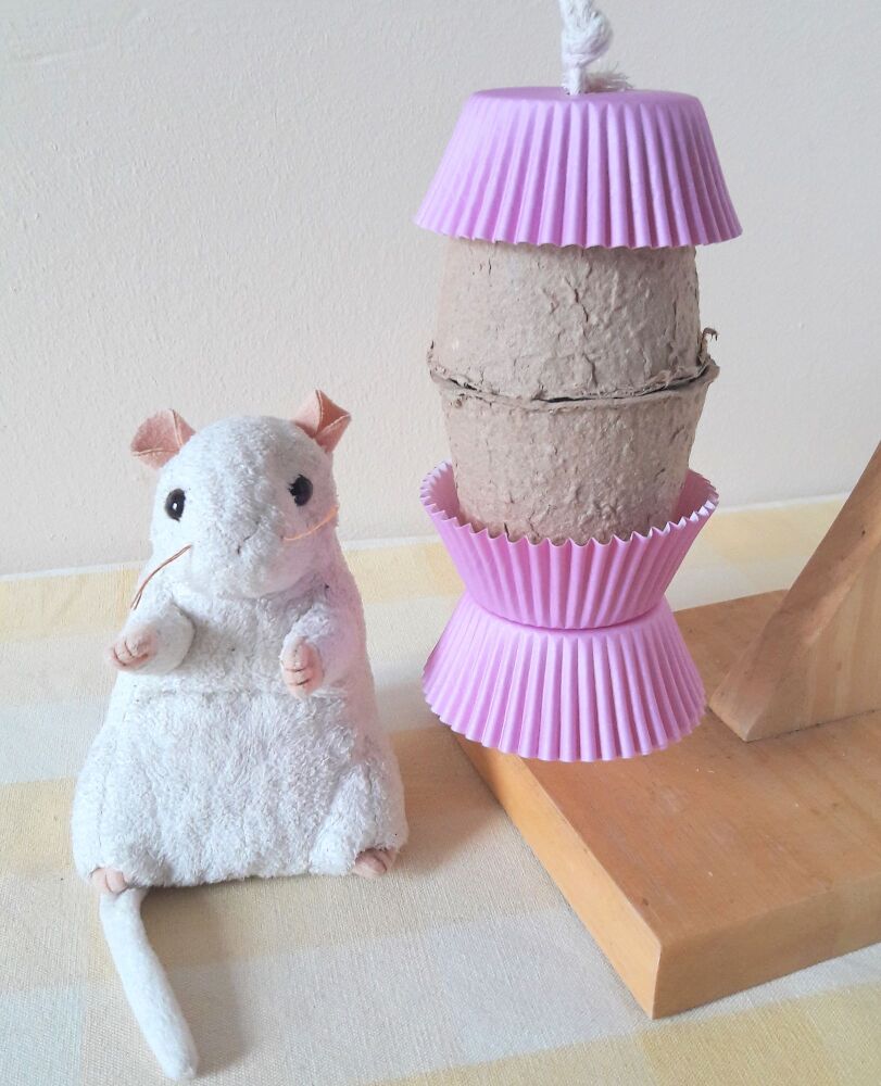 Nibble and Gnaw Stuffed Pot Wild Fruit Biscuit Treat Shredder