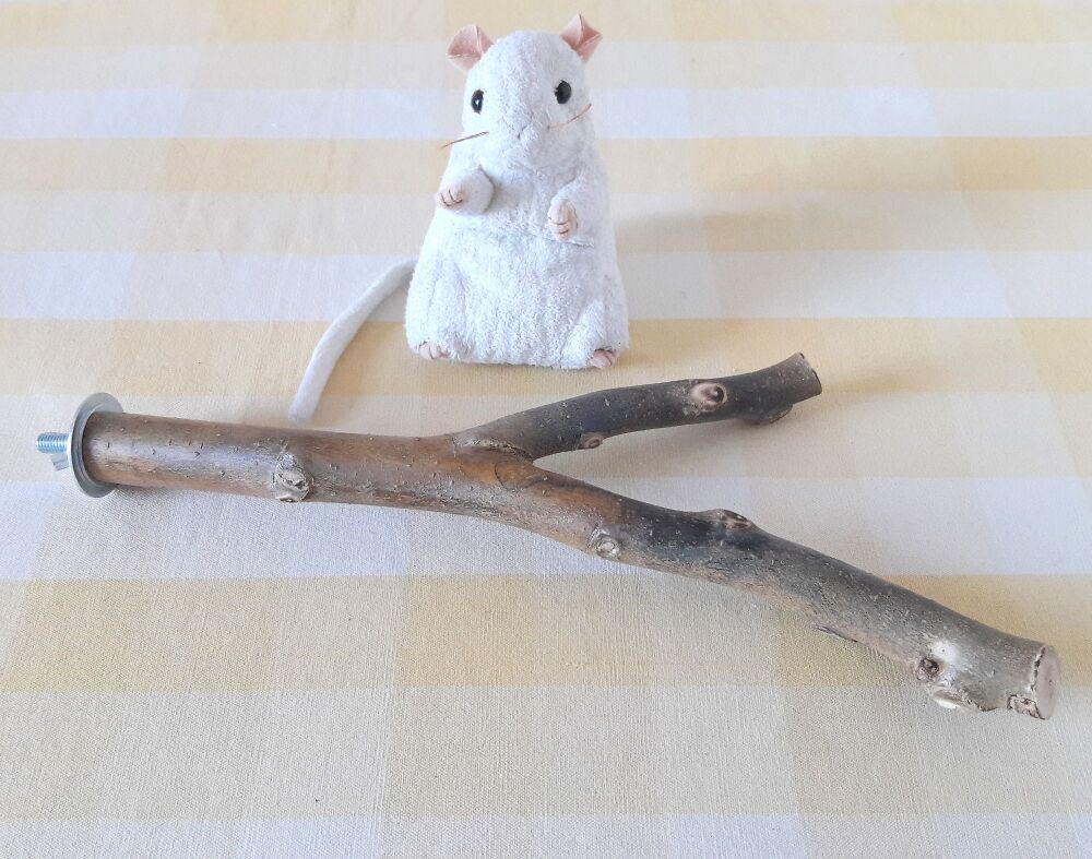 33cm Bolt On Forked Perch - UK Homegrown Willow Wood