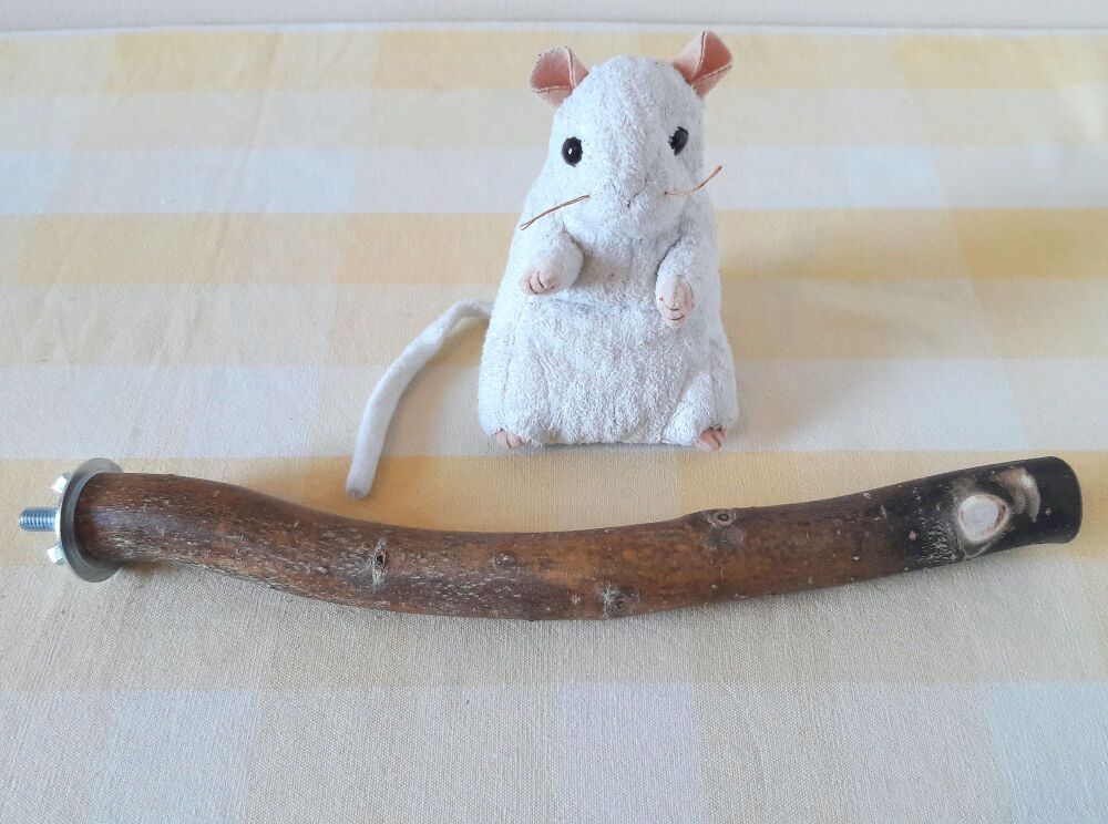 29cm Bolt On Perch - UK Homegrown Willow Wood