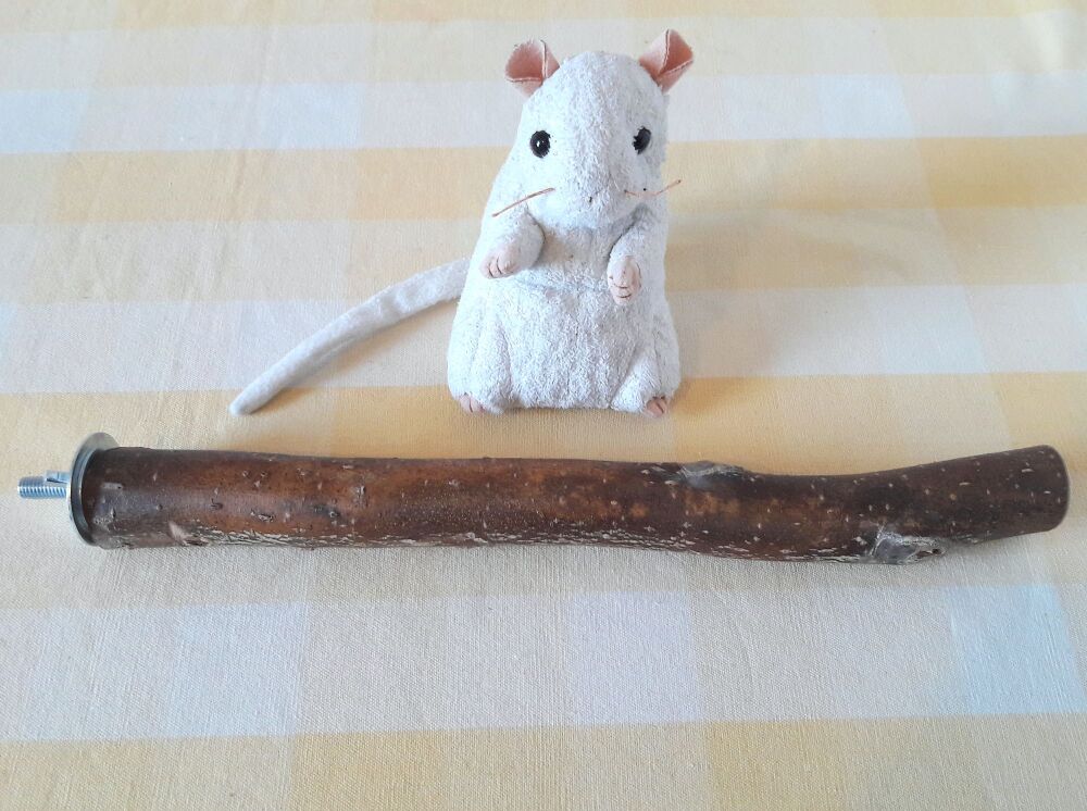 31cm Bolt On Perch - UK Homegrown Willow Wood