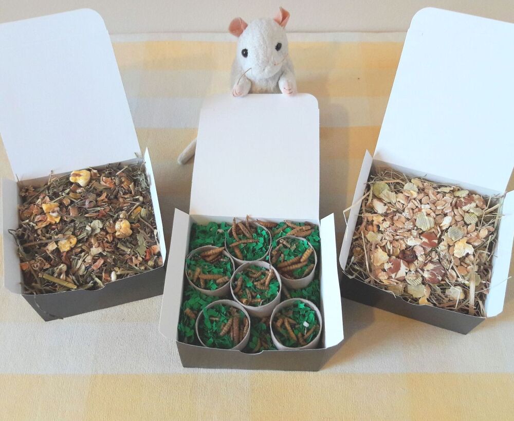 Rat Forage Box Selection Pack of 3