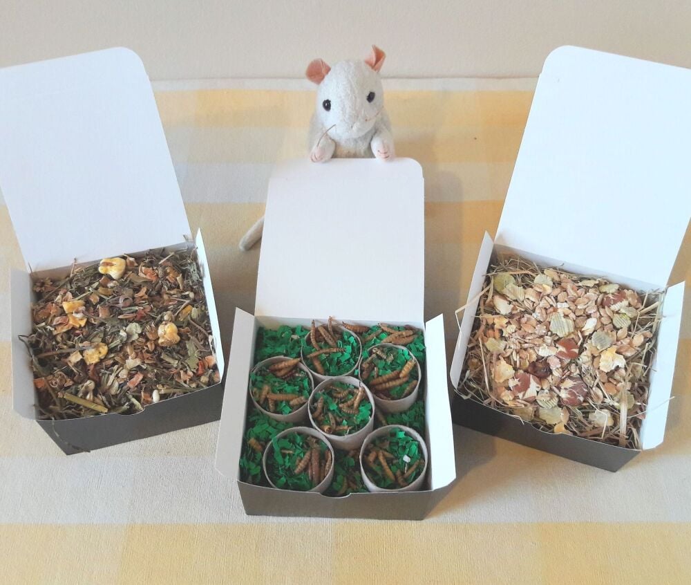 Rat Forage Box Selection Pack of 3