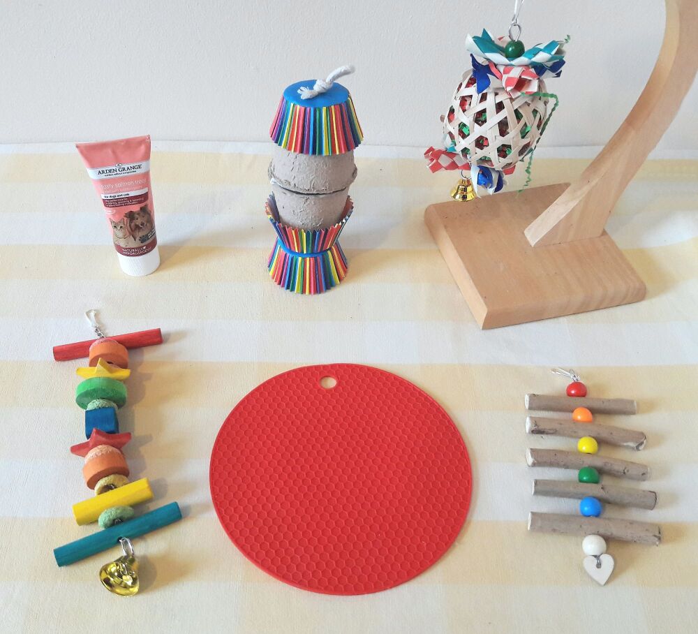 Nibble and Gnaw Rainbow Bundle - 6 Items