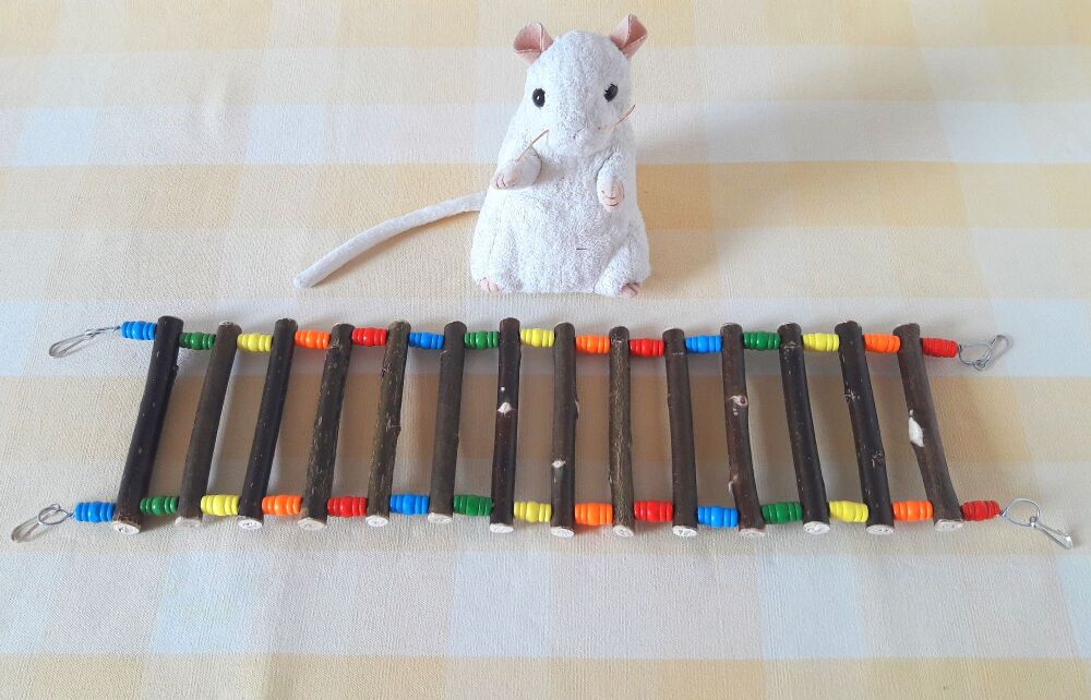 Rainbow Beaded Willow Wired Ladder - UK Homegrown wood - 17 inches