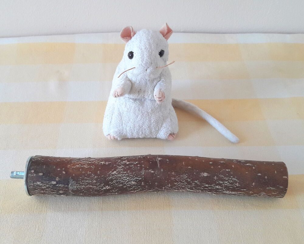 25cm Thick Bolt On Perch - UK Homegrown Willow Wood