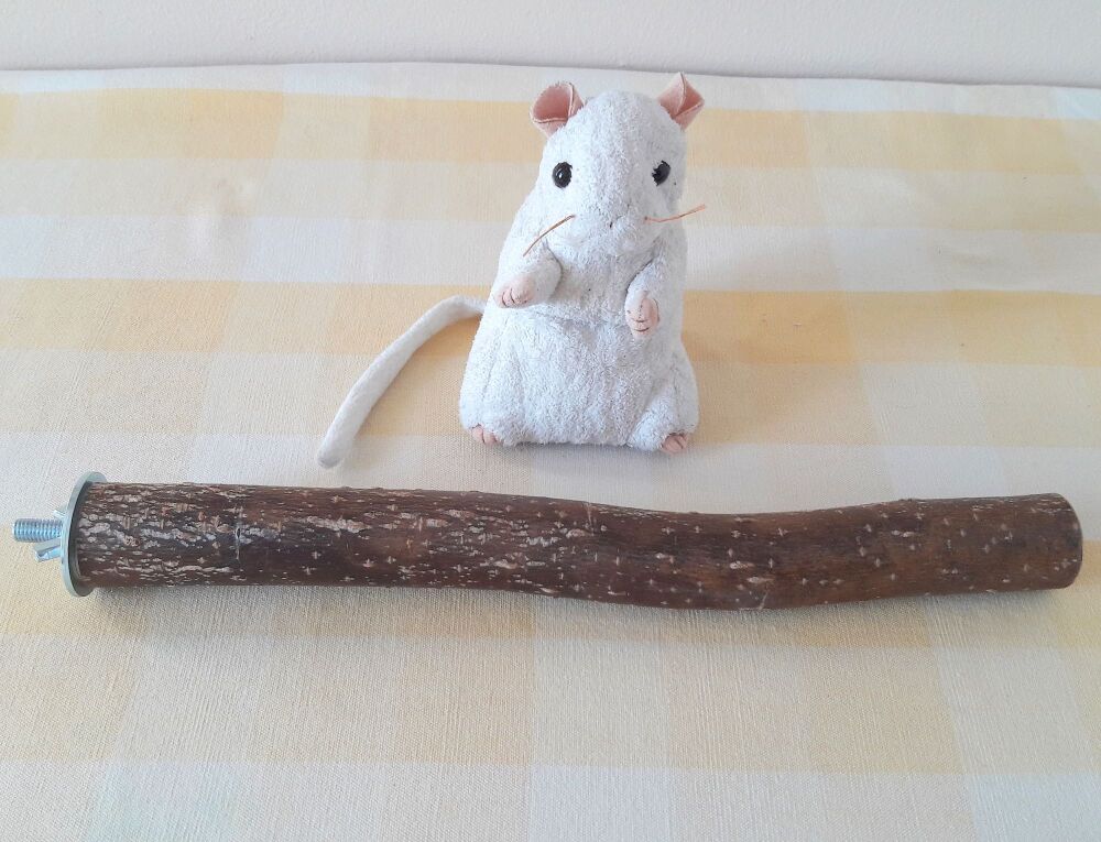 31cm Bolt On Perch - UK Homegrown Willow Wood