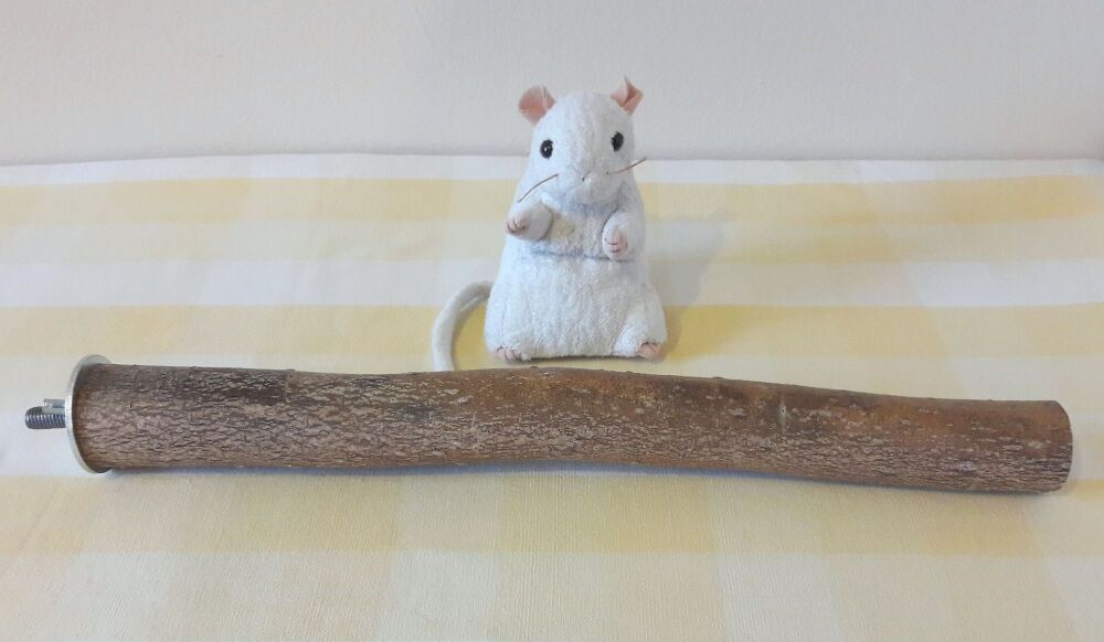 39cm Thick Bolt On Perch - UK Homegrown Willow Wood