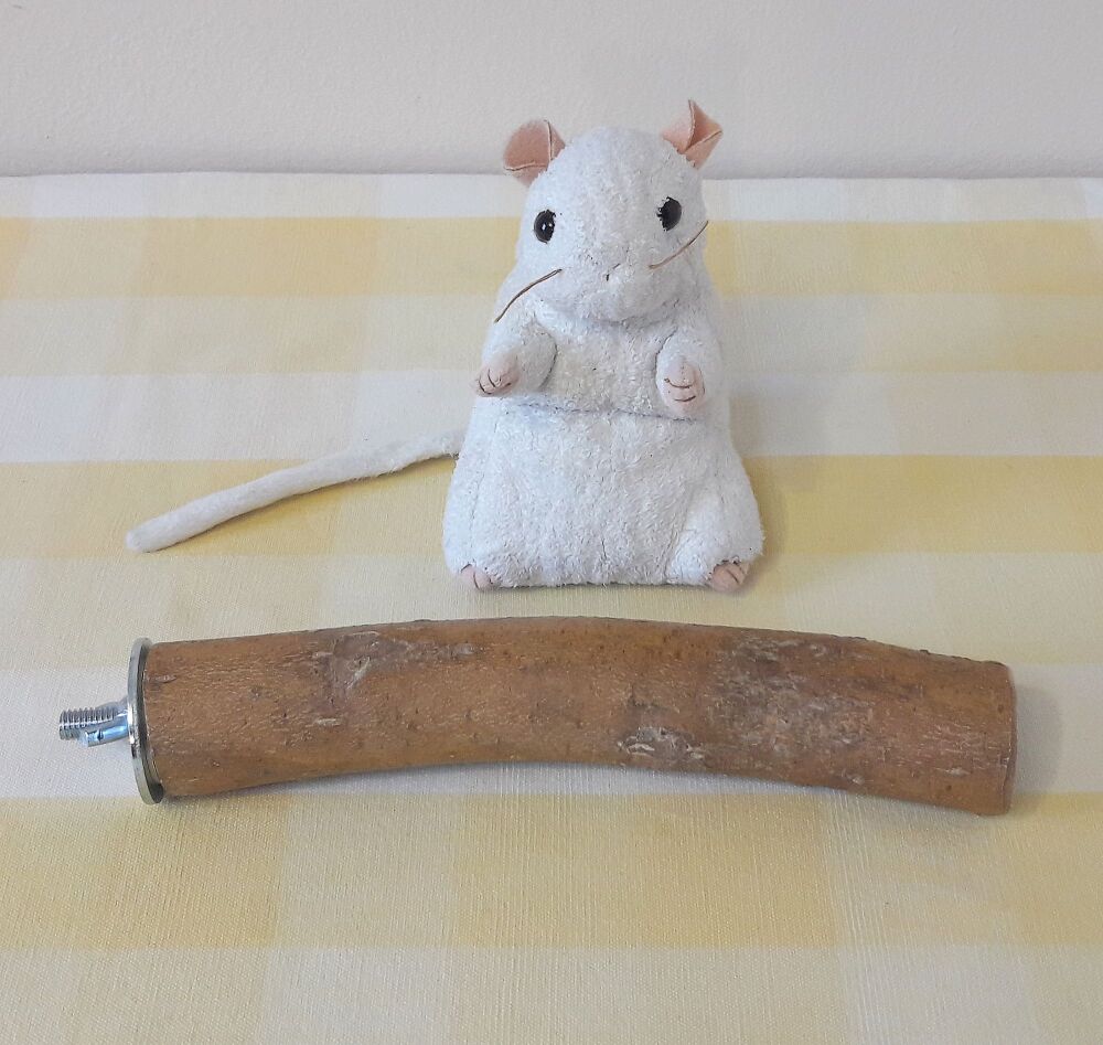 20cm Thick Bolt On Perch - UK Homegrown Willow Wood