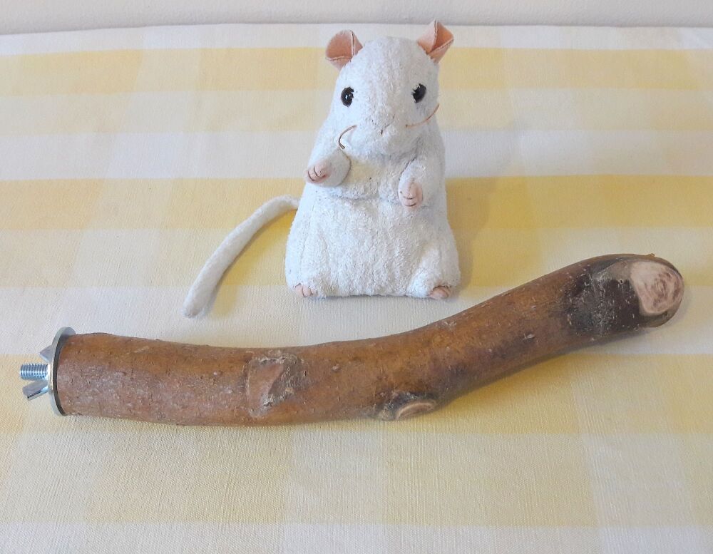 27cm Thick Bolt On Perch - UK Homegrown Willow Wood