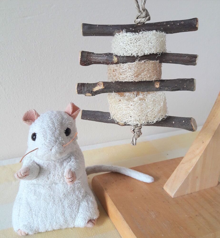 Apple Wood and Loofah Chew Toy - UK Homegrown