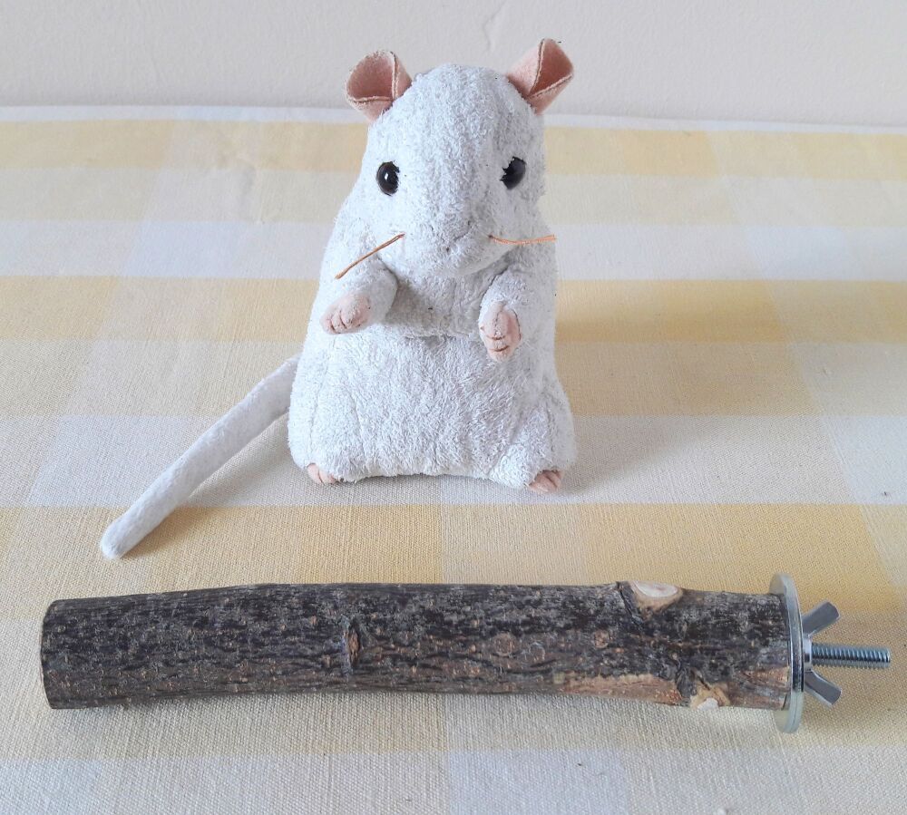 17cm Bolt On Perch - UK Homegrown Apple Wood