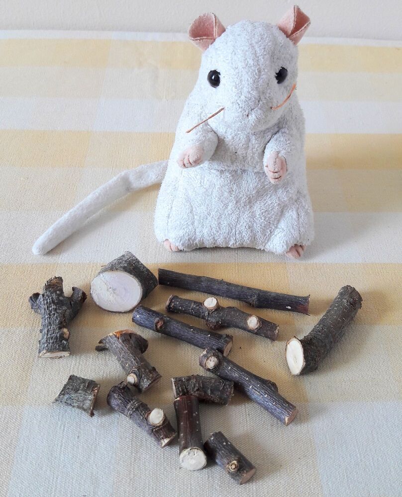 Apple Wood Chew Bites 40g - UK Homegrown